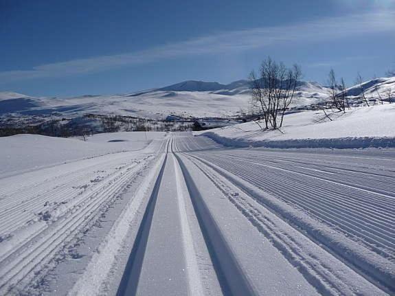 Signegarden - Midt I Fjellheimen - Tett Pa Fjord-Norge Appartement Skjåk Buitenkant foto