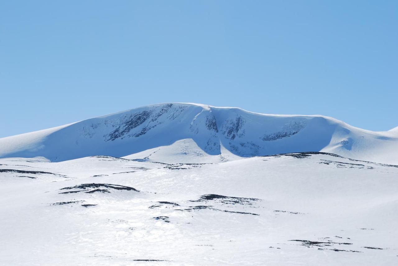 Signegarden - Midt I Fjellheimen - Tett Pa Fjord-Norge Appartement Skjåk Buitenkant foto